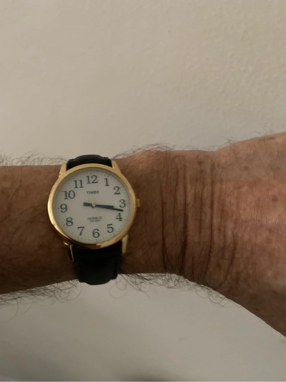 Timex Unisex  Indiglo Easy Reader Gold Case Watch with Black Strap